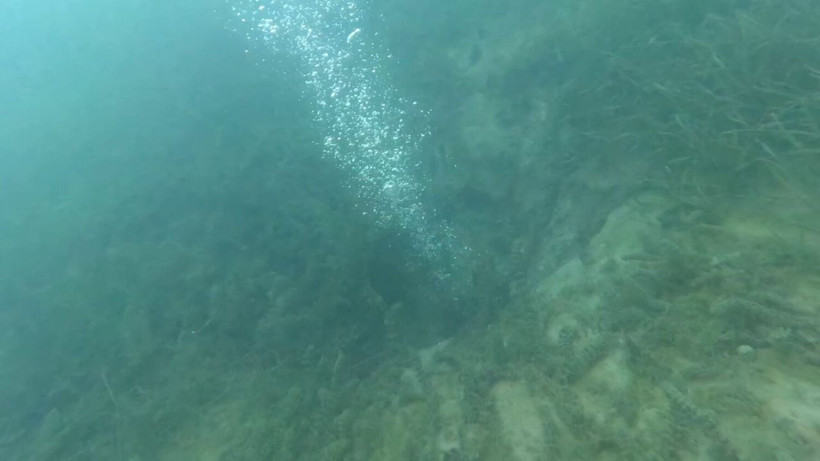 Sapanca Gölü'nde görülen kabarcıklar sosyal medyada endişe yarattı! Deprem habercisi mi? - Resim: 9