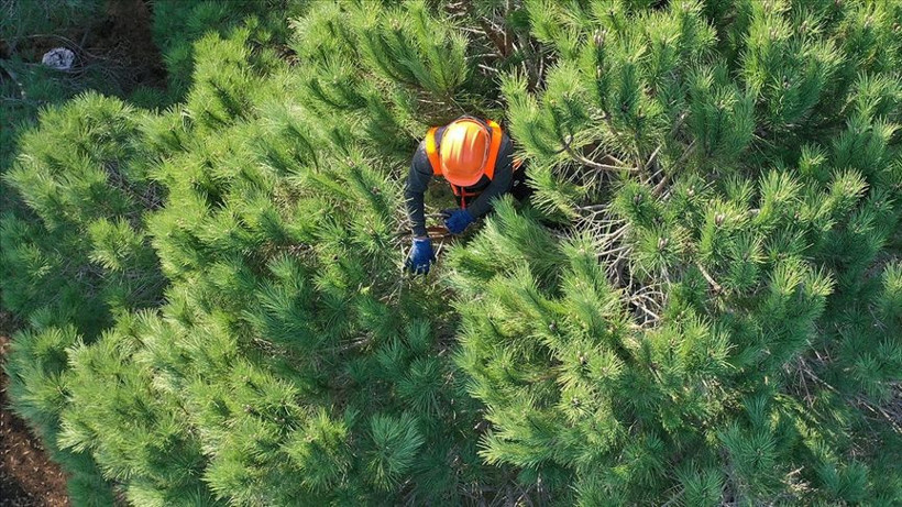 OGM 496 sözleşmeli personel alımı sonuçları ne zaman açıklanacak? - Resim: 2