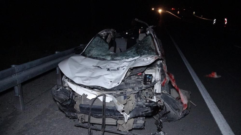 Malatya'da milyonluk taylar karayolunda telef oldu - Resim: 2