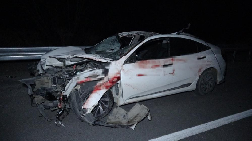 Malatya'da milyonluk taylar karayolunda telef oldu - Resim: 3