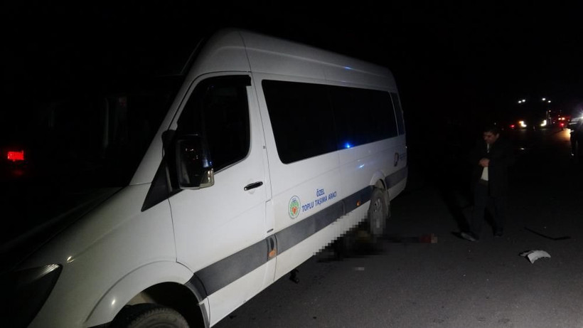 Malatya'da milyonluk taylar karayolunda telef oldu - Resim: 7