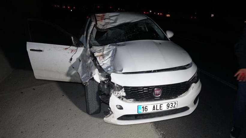 Malatya'da milyonluk taylar karayolunda telef oldu - Resim: 8