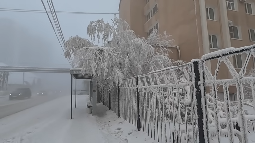 Hayat dondu! D&uuml;nyanın en soğuk noktasında eksi 56 dereceyi g&ouml;rd&uuml;ler... - Resim : 1