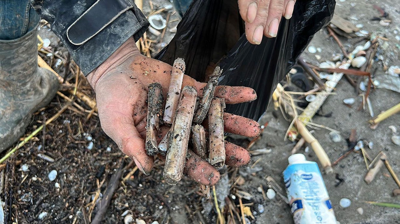 Dalgalar kıyıya bıraktı, balıkçılar topladı: “Normalde parayla alıyoruz” - Resim: 6