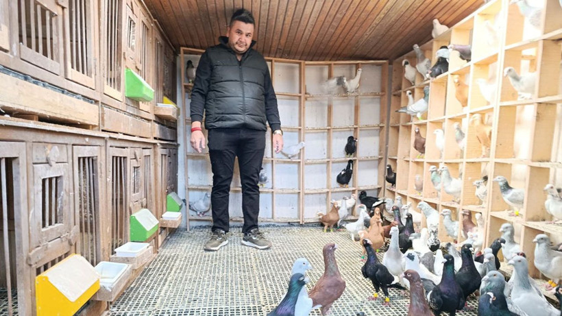 13 Yıllık memurluğu bıraktı, güvercinleri otomobil fiyatına alıcı buluyor - Resim: 7