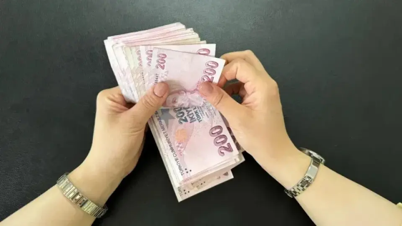 Genç istihdamına yeni destek: 18-25 yaş için ücret ve prim teşviki geliyor - Resim: 6