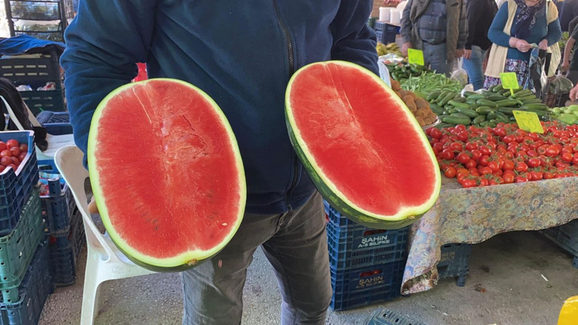 Sezonun ilk karpuzu tezgahta: Çeyreği 90 liraya, dilim dilim satılıyor - Resim: 3
