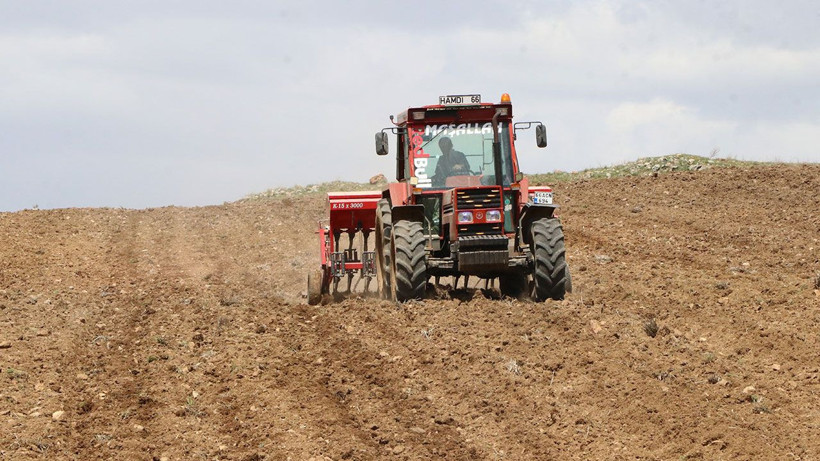 Nohut üretiminde hedef büyüdü: 60 bin tonun üzerinde rekolte bekleniyor - Resim: 2