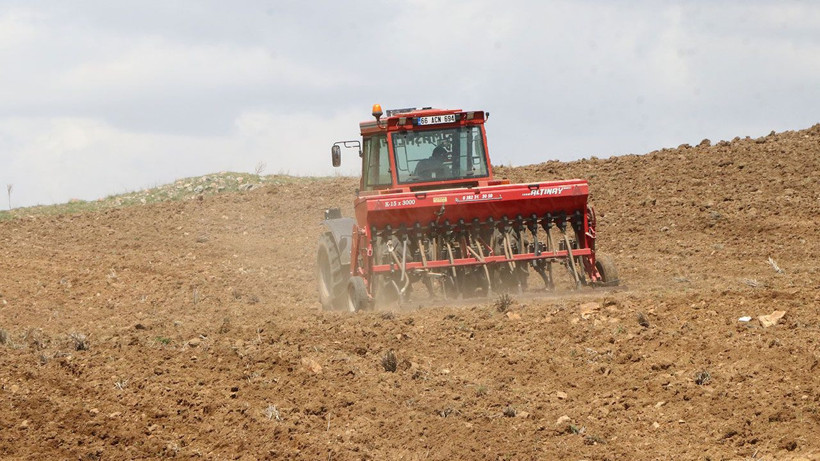 Nohut üretiminde hedef büyüdü: 60 bin tonun üzerinde rekolte bekleniyor - Resim: 4