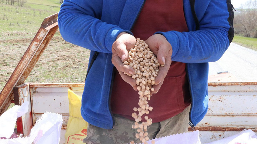 Nohut üretiminde hedef büyüdü: 60 bin tonun üzerinde rekolte bekleniyor - Resim: 5