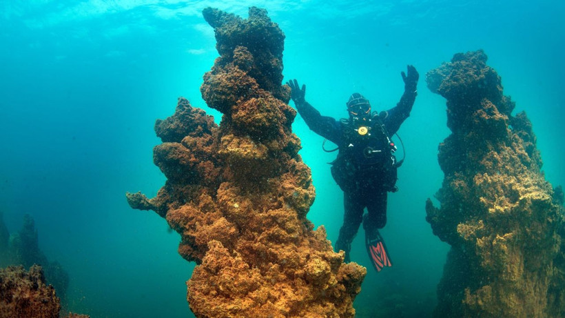 Van Gölü’nün ‘su altı peribacaları’ Guinness yolunda - Resim: 7