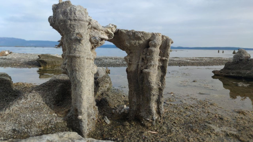 Van Gölü’nün ‘su altı peribacaları’ Guinness yolunda - Resim: 5