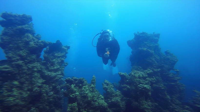 Van Gölü’nün ‘su altı peribacaları’ Guinness yolunda - Resim: 3