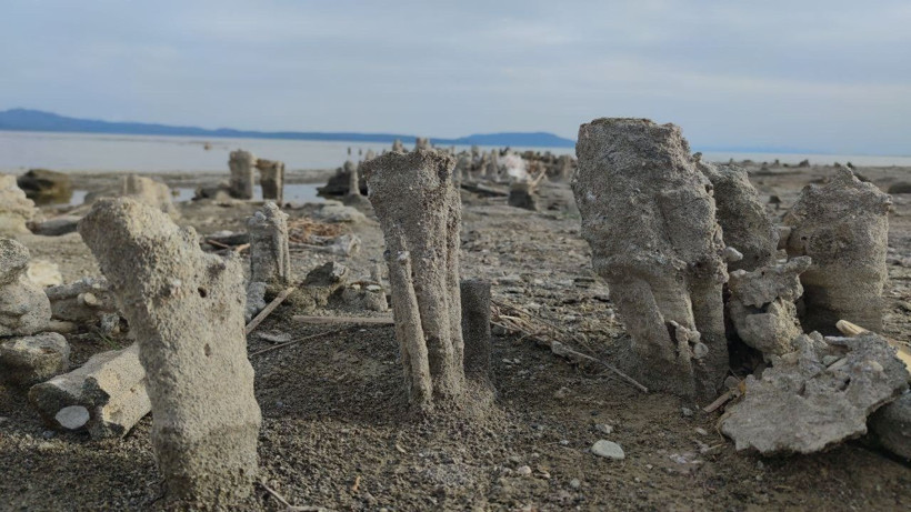 Van Gölü’nün ‘su altı peribacaları’ Guinness yolunda - Resim: 2