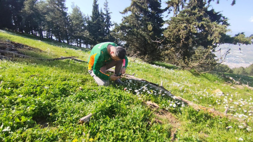 Yılda bir kez açıyor, 10 gün yaşıyor: Manisa lalesini koparmanın cezası 699 bin lira - Resim: 4