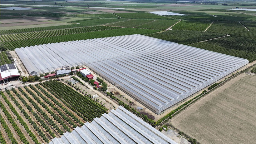 Yapay zekayla üretilen beyaz çilek dünyaya açıldı - Resim: 3