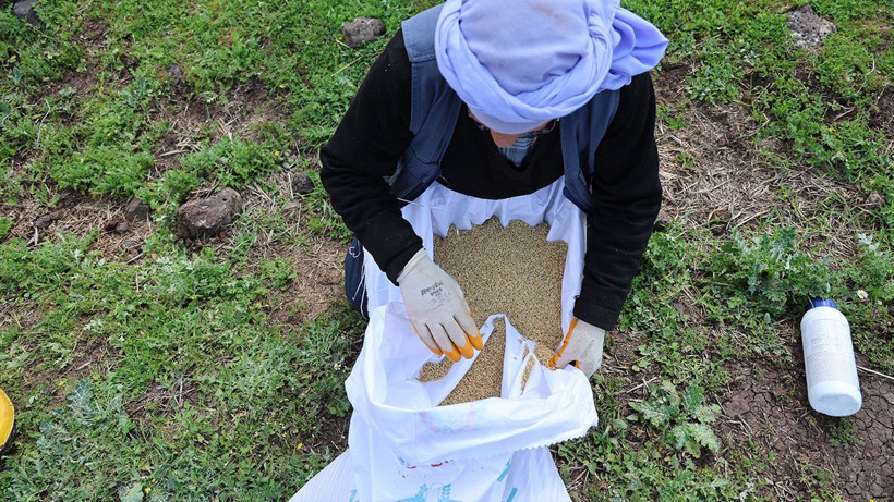Diyarbakır’da 140 bin liralık tohum toprakla buluştu - Resim: 6