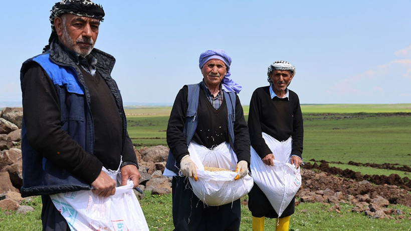 Diyarbakır’da 140 bin liralık tohum toprakla buluştu - Resim: 7