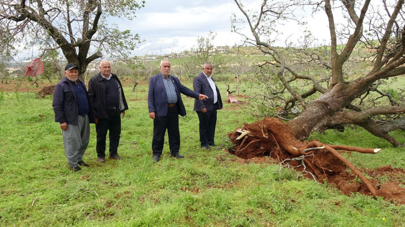 Süper hücre köyleri talan etti: 100 yıllık fıstık ağaçları söküldü - Resim: 6