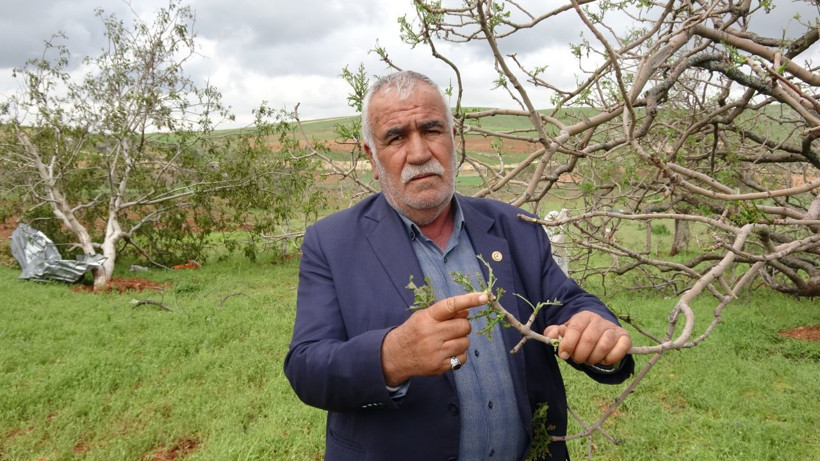 Süper hücre köyleri talan etti: 100 yıllık fıstık ağaçları söküldü - Resim: 4