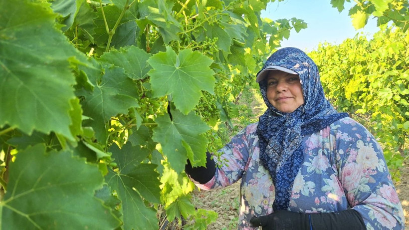 Yevmiye 1.425 liraya çıktı, üretici imeceye yöneldi - Resim: 3