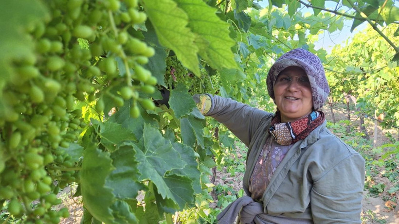 Yevmiye 1.425 liraya çıktı, üretici imeceye yöneldi - Resim: 4