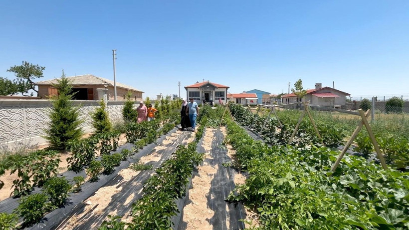 Bu otelde para geçmiyor, konaklamak için tek bir şart var - Resim: 7