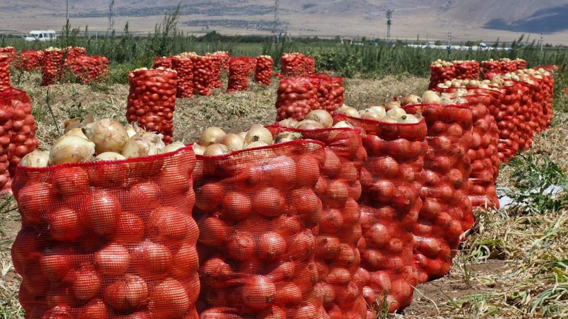 Soğanda hesap tersine döndü: Ekimi yüzde 40 azalınca fiyatı fırladı - Resim: 1