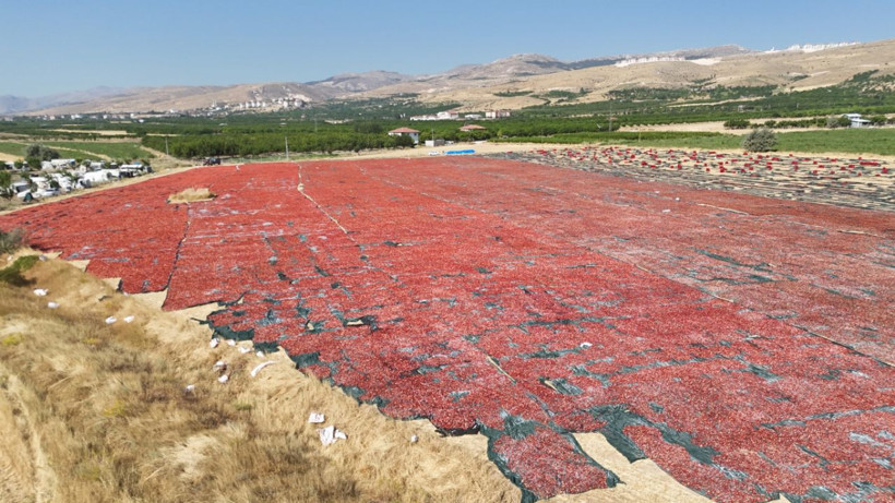 1350 TL'ye günde 11 saat çalışıyolar - Resim: 6