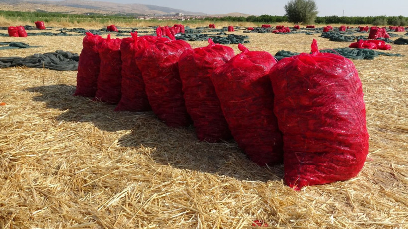 1350 TL'ye günde 11 saat çalışıyolar - Resim: 2