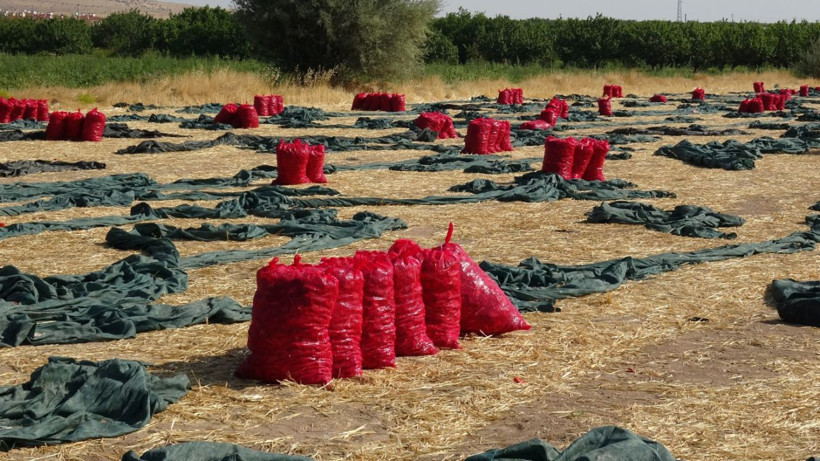 1350 TL'ye günde 11 saat çalışıyolar - Resim: 3