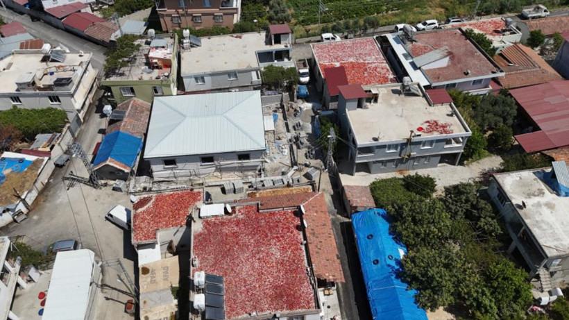 Damlar kırmızıya büründü: Kilosu 300 liradan, günde 500 kilo hazırlanıyor - Resim: 6