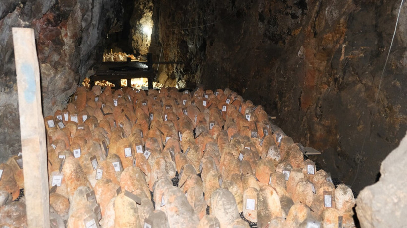 6 ay yerin altında bekliyor, rengi değişince kilosu 1700 liraya çıkıyor - Resim: 1