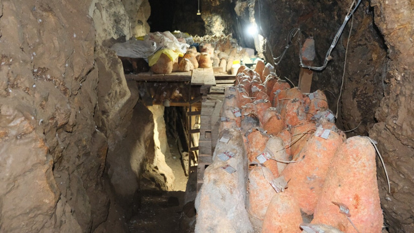 6 ay yerin altında bekliyor, rengi değişince kilosu 1700 liraya çıkıyor - Resim: 7