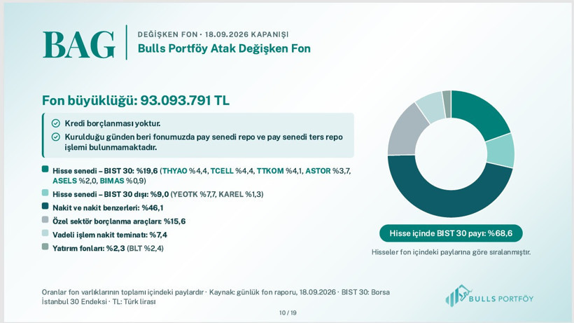 Bulls Portföy fonlarının içeriğini tek tek açıkladı - Resim: 8
