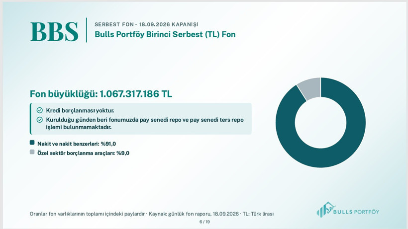 Bulls Portföy fonlarının içeriğini tek tek açıkladı - Resim: 4