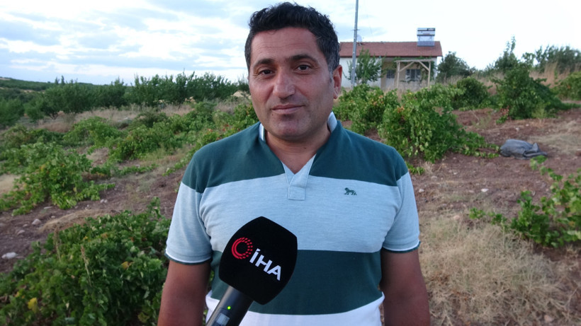 Üzümde talep patladı: Kurutmalığın kilosu 600 lirayı buldu - Resim: 2