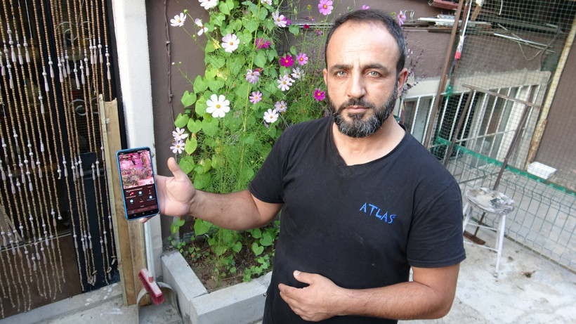Kümese çelik kapı, önüne Belçika kurdu! 800 bin liralık güvercinlerine 24 saat koruma - Resim: 6