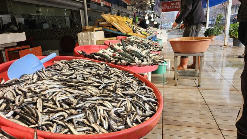 Balıkçılardan kötü haber! Tanesi 1000 liraya çıkabilir - Resim: 4
