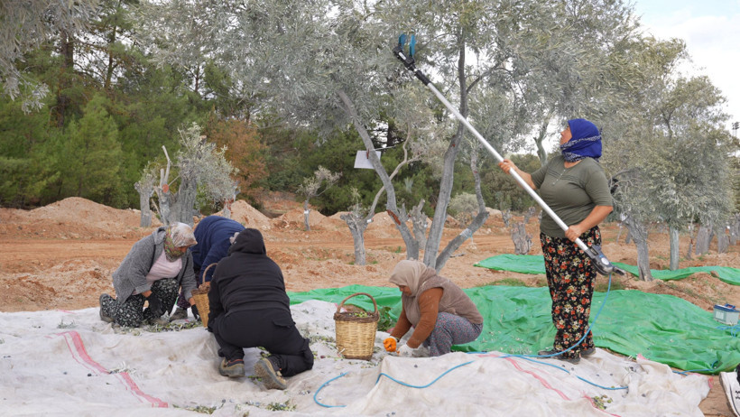 Türkiye’nin tek seferde yapılan en büyük maden rehabilitasyon projesinde fidanlar toprakla buluşuyor - Resim : 1