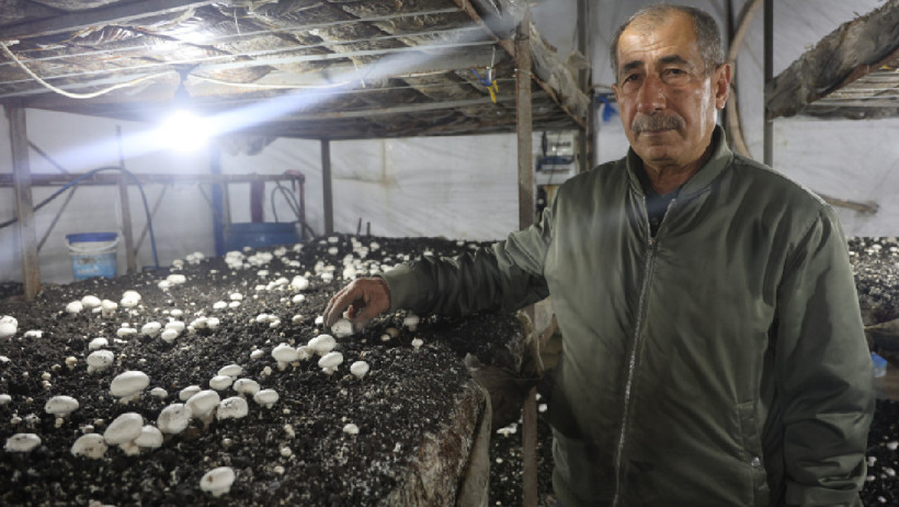 Dolar ve altınlarını bozdurup kurdu, şimdi t&uuml;m Akdeniz'e satıyor - Resim : 3