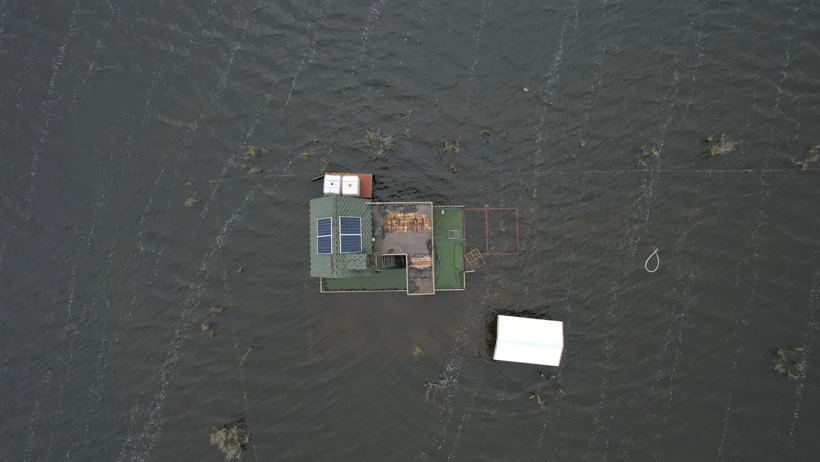 Yağmurlar &uuml;retim umudunu artırdı: 2026 i&ccedil;in rekor hasat tahmini - Resim : 1