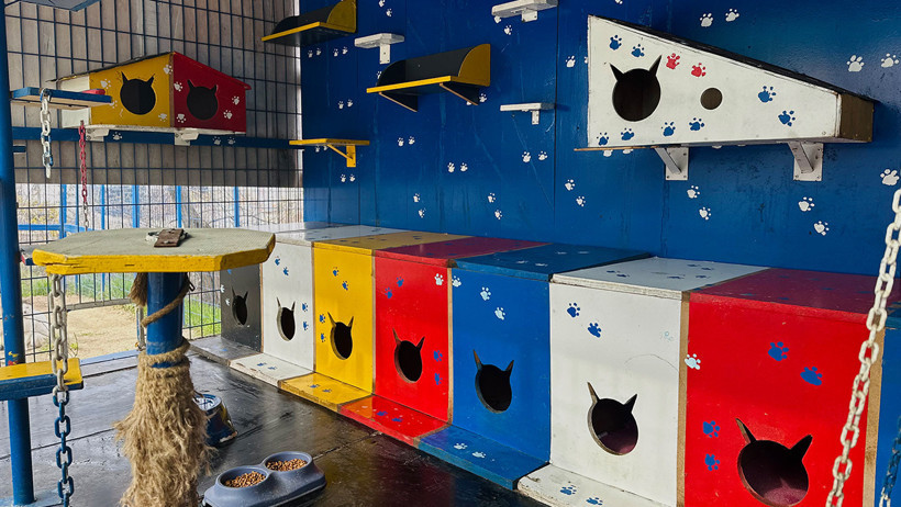 Ekol Lojistik doğayı koruma projesi ile 9 milyon can dostuna ulaştı - Resim : 4