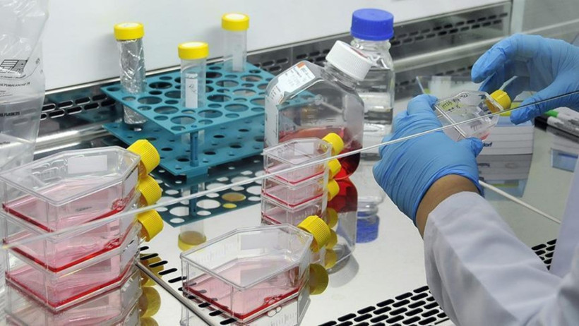 BioNTech, kapasite fazlası nedeniyle 1860 kişiyi işten &ccedil;ıkaracağını a&ccedil;ıkladı - Resim : 2