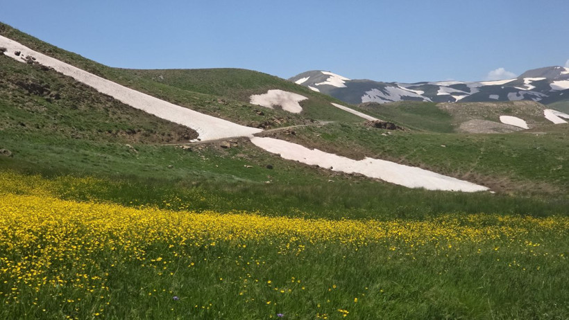 Norduz'da iki mevsim bir arada: Karlı zirveler ile çiçekli yaylalar büyülüyor - Resim: 7
