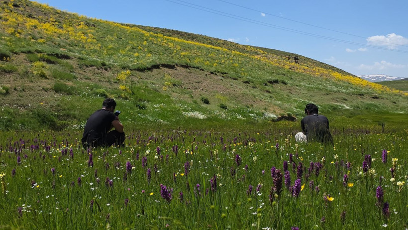 Norduz'da iki mevsim bir arada: Karlı zirveler ile çiçekli yaylalar büyülüyor - Resim: 4