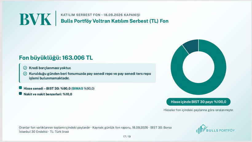 Bulls Portföy fonlarının içeriğini tek tek açıkladı - Resim: 15