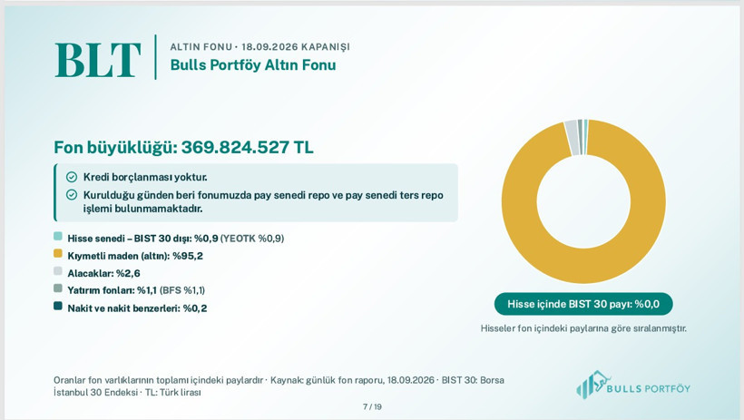 Bulls Portföy fonlarının içeriğini tek tek açıkladı - Resim: 5