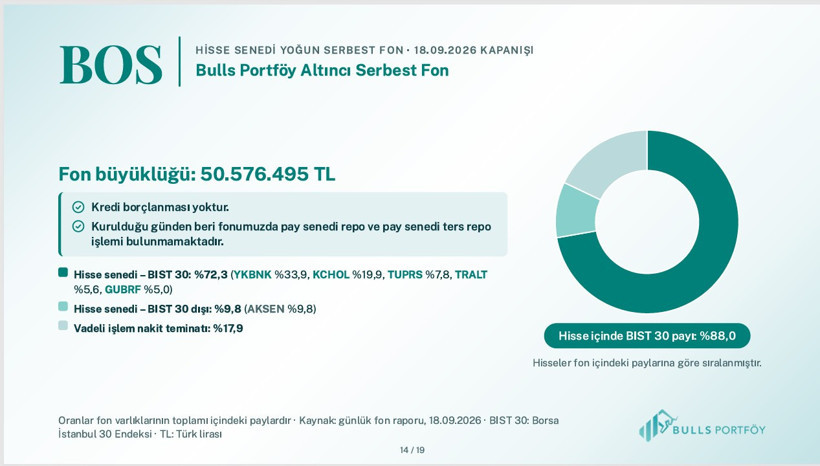 Bulls Portföy fonlarının içeriğini tek tek açıkladı - Resim: 12