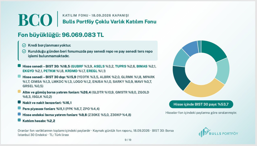 Bulls Portföy fonlarının içeriğini tek tek açıkladı - Resim: 7